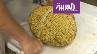 صباح العربية | استبدلوا اللحم بالكاكايا