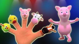 Finger Familie Reim für Kinder | Kinderzimmerreim Kompilation | Finger Family Rhyme