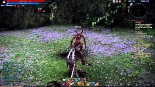 TERA Online Open Beta Amani Slayer