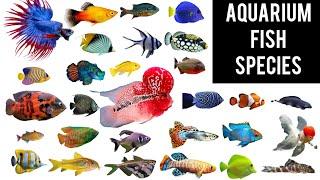 Names of * AQUARIUM * Fish species || Freshwater fish