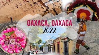 OAXACA, OAXACA 2022 // TRAVEL WITH KIDS // WHERE TO GO