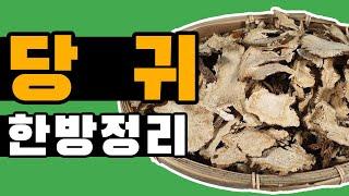 한의학 처방 필수요소 당귀!! / 효능,먹는법,구매방법까지 [약방청년의 한방정리]