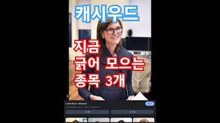 캐시 우드의 주목해야 할 성장주 3종목
