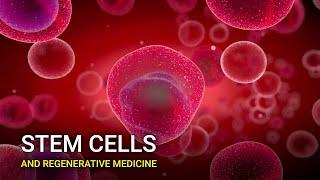 Stem Cells and Regenerative Medicine