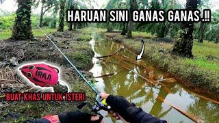 Casting Haruan | SPOT NI ORANG TAK PERNAH MANCING SEMUA  IKAN KELAPARAN | Vlog317