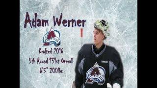 Adam Werner Signs Contract with Colorado Avalanche