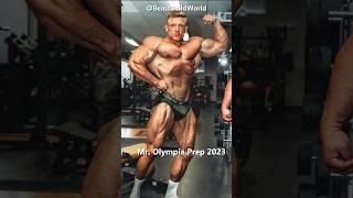 Urs Kalecinski: Stage 2022 vs. Prep 2023 #bodybuilding #gym