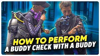 Scuba Diving: How to Perform a Buddy Check with a Buddy | PADI Scuba Skills