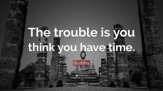 TOP 20 Buddha Quotes