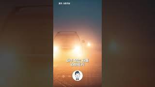당신이 야간 운전이 어려웠던 이유!