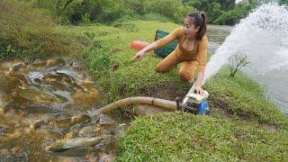 Unique Fishing - Using pumps, pumping water outside the natural lake, Harvesting a lot of big fish