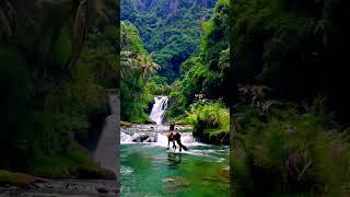 Beautiful Horse Crossing River | Harmony in Nature #trending #shorts #horse #river #shortsvideo