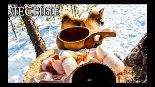 Дикая кухня - СТРОГАНИНА ИЗ РЫБЫ | BUSHCRAFT COOKING - FROZEN FISH