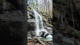 Lower Denton Creek Falls #waterfall #waterfalltrail #waterfallchasing