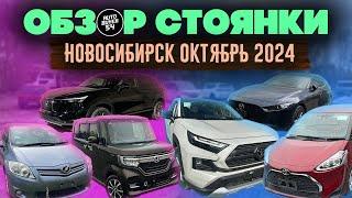 Обзор стоянки Новосибирск Октябрь 2024 / VEZEL, SIENTA, N-BOX, RAV4, MAZDA3, AURIS.