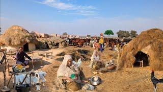 desert old Women Morning Routine Punjab  |Village Life Pakistan |Traditional Desert VillageFood