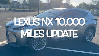 LEXUS NX350H 10,000 Miles Update and Problems