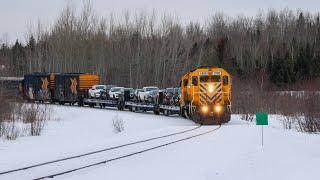 The Polar Bear Express at Robins Nest