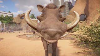 Planet Zoo: Common Warthog