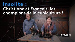 Insolite : Christiane et François, les champions de la cuniculture