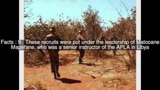 Lesotho Liberation Army Top  #19 Facts