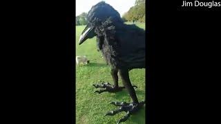 Life Sized Crow Costume || ViralHog