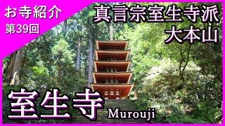 【お寺紹介39】室生寺・奈良 －真言宗室生寺派 大本山－ 11分でお寺を案内します。