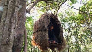 How I build a 5 meter bird nest shelter