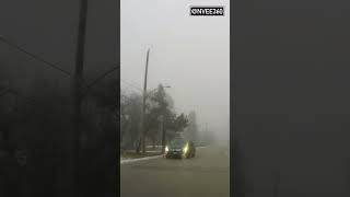 Driving in Fog - Toronto Area #shorts