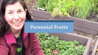 Perennial Crops for Your Self-Reliance Garden