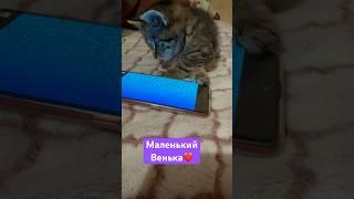 МАЛЕНЬКИЙ ВЕНЬКА️
