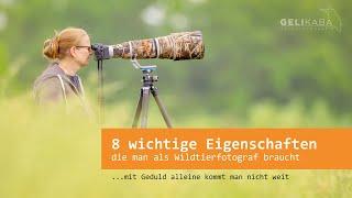 Acht wichtige Eigenschaften, die man als Wildtierfotograf braucht.