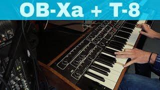 OBERHEIM OB-Xa + SCI PROPHET T8 ~ Vintage Synthesizer Museum