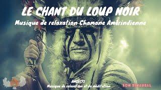 Le chant du Loup Noir Musique de relaxation chamanique Amérindienne ANGELYS musique de relaxation