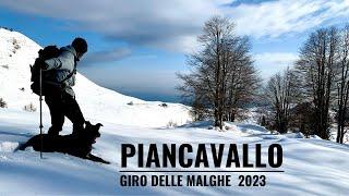 GIRO DELLE MALGHE - PIANCAVALLO - Trekking Friuli Venezia Giulia