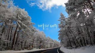 겨울 한라산을 사랑할 수 밖에 없는 이유.