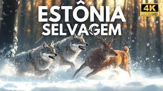 ESTÔNIA SELVAGEM - Guardiões do Equilíbrio Natural | Documentário Completo