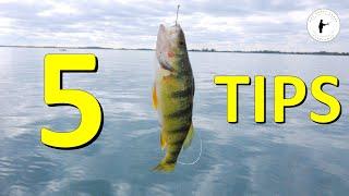 Five Tips for Catching Great Lakes Perch