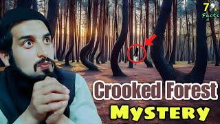 Crooked Forest Poland Mystery ||  The Unexplained Mystery of the Crooked Forest A Natural Enigma