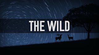 Respawnd - The Wild