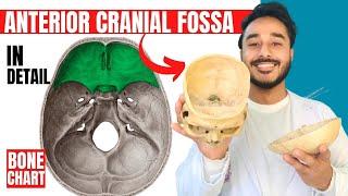 anterior cranial fossa anatomy 3d | anatomy of anterior cranial fossa of skull  anatomy