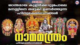 ശാന്തമായ കുളിർക്കാറ്റുപോലെ മനസ്സിനെ തഴുകി ഉണർത്തുന്ന ഹിന്ദുഭക്തിഗാനങ്ങൾ | Devotional Songs Malayalam