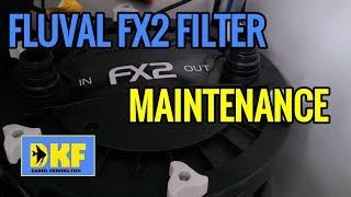 FLUVAL FX2 FILTER MAINTENANCE ***Please read the description and pinned comment below.***