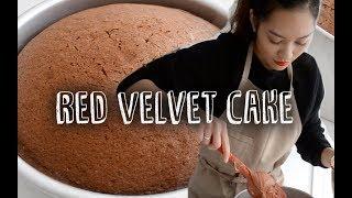 Red Velvet Cake || Ally Bakes