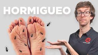 Como aliviar HORMIGUEO en los PIES (Nervios Pinzados) + GUÍA IMPRIMIBLE