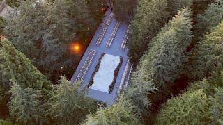 A Wedding in the Heart of an Ancient Cedar Forest