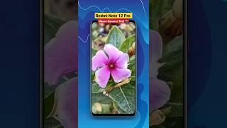 Redmi Note 12 Pro Macro Camera Test  #redminote12pro5g #cameratest #subscribe #shorts #camera