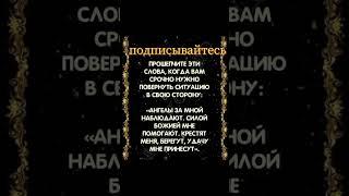 15 июня 2025 г.