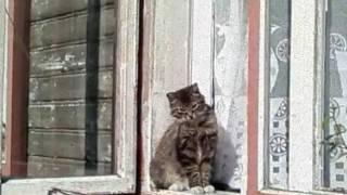 Liepaja 2007.wmv