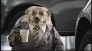 "Wiggle Room" Grady the Badger Johnson Automotive Commercial